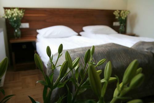 Hostal Villa Julia