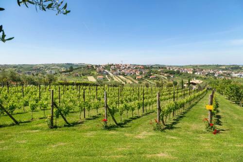 Agroturismo Agriturismo Le Bosche