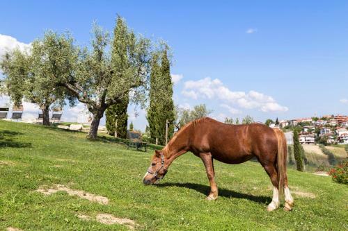 Agroturismo Agriturismo Le Bosche