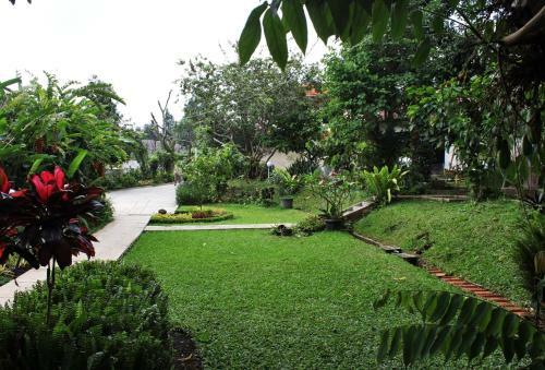 Garden Hostel