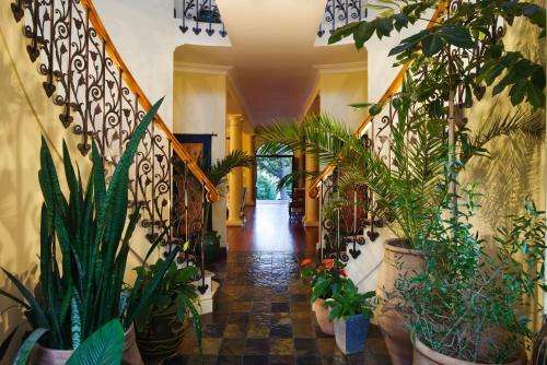 Hostal Ibis House