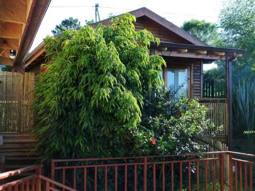 Hostal Panorama Lodge