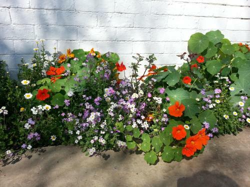 Die Agterplaas B&B