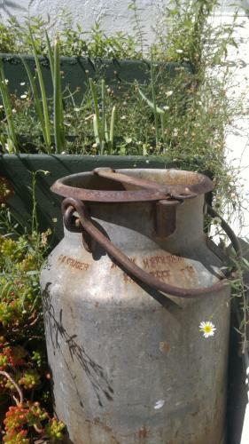 Die Agterplaas B&B