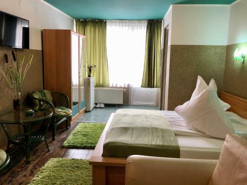 Hostal Pensiunea Carina