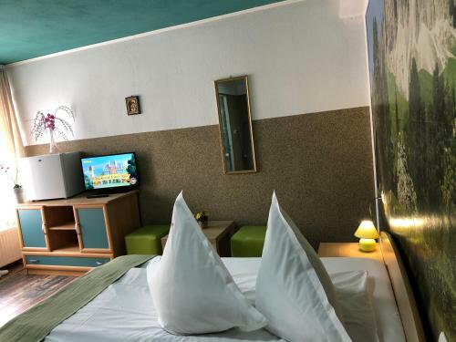 Hostal Pensiunea Carina