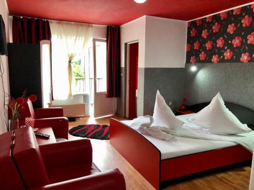 Hostal Pensiunea Carina