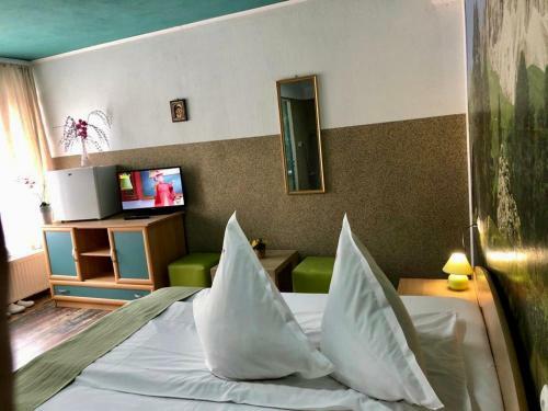 Hostal Pensiunea Carina