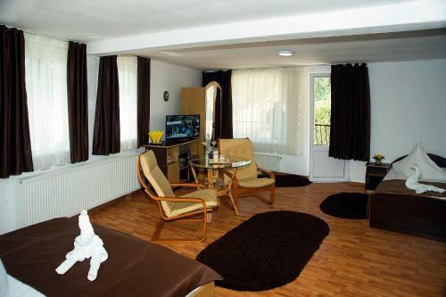Hostal Pensiunea Carina