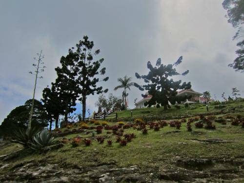Hotel The Regency Jerai Hill Resort