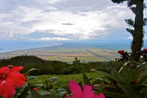 Hotel The Regency Jerai Hill Resort