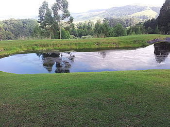 Bed & Breakfast Arum Hill Lodge