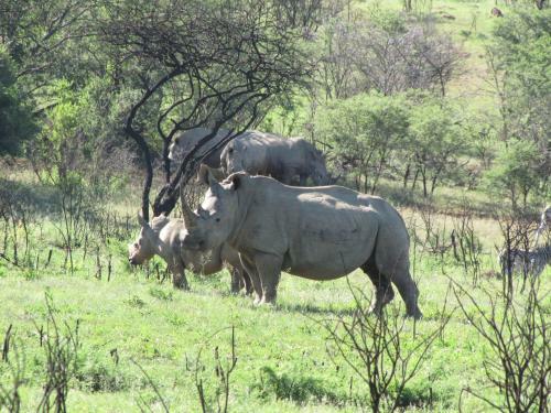 Spion Kop Lodge