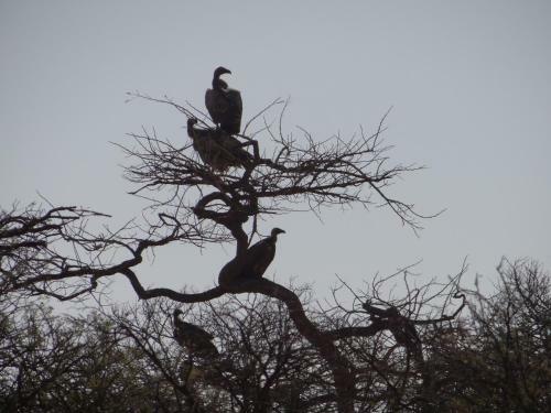 Spion Kop Lodge
