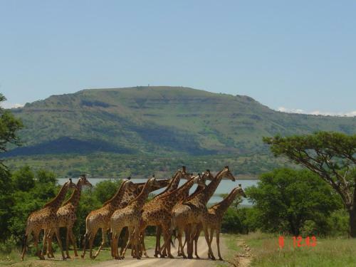 Spion Kop Lodge