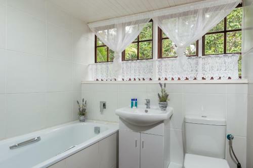 Hostal Zesty Guesthouse