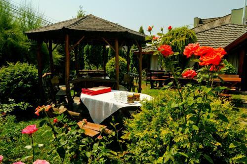 Hostal Pension La Cupola