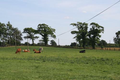 Agroturismo Moate Lodge
