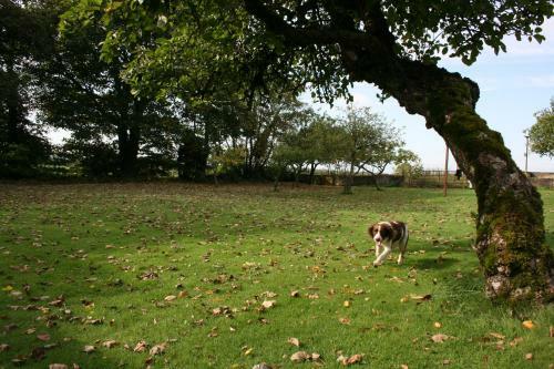 Agroturismo Moate Lodge