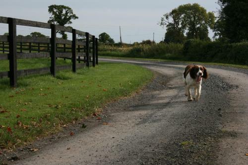 Agroturismo Moate Lodge