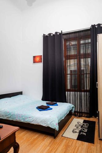 Blu Apart Lupa Capitolina