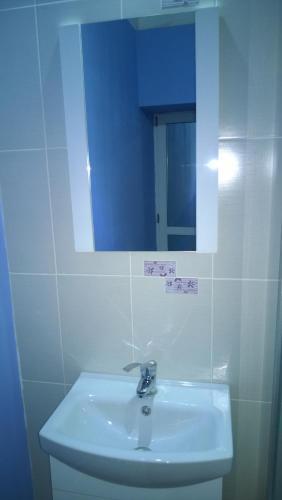 Blu Apart Lupa Capitolina