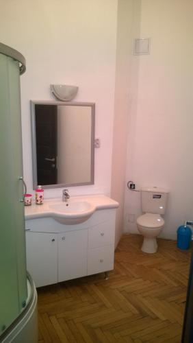 Blu Apart Lupa Capitolina