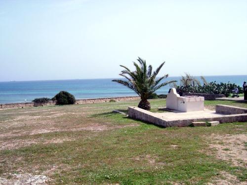 Casa Vacanze Mandorlo In Fiore