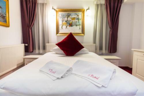 Hotel Casa David