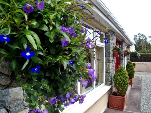Hostal Kingfisher Lodge Guesthouse