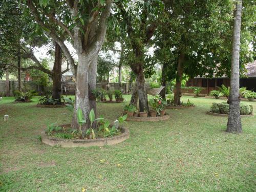 Hostal Cinnamon Guesthouse