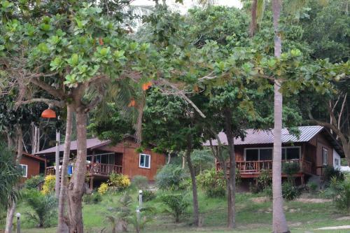 Hotel Freedom Hut