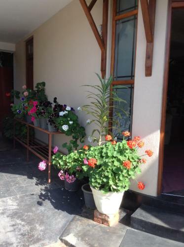 Hotel Hillberry