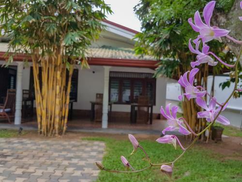 Hotel White Villa Beach Resort