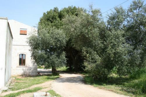 Agroturismo Masseria La Luna Nel Pozzo