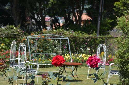Bed & Breakfast Princess Bungalows