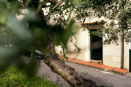 Hostal Affittacamere Donati Nada