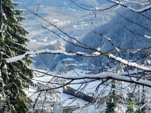 Bed & Breakfast Villa Bertagni