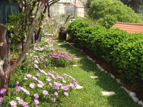 Apartments Lonza