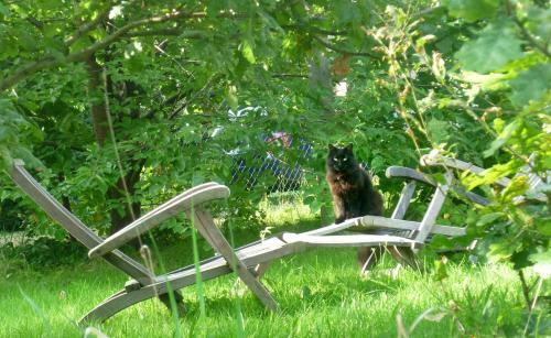 Bed & Breakfast C�t� Colline