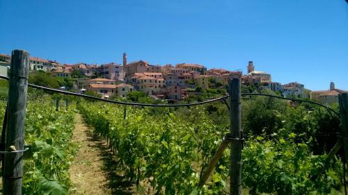 Agroturismo B&B Ca' De Pippu