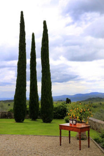 Hotel Villa La Palagina