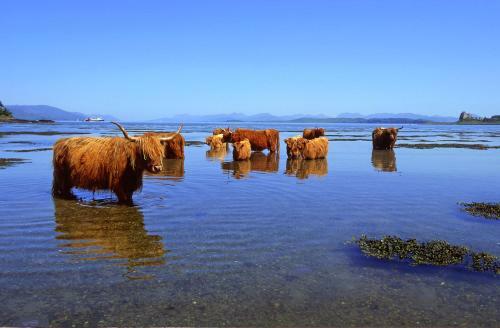 Lodge Appin Holiday Homes