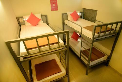 Albergue Zostel Jaipur