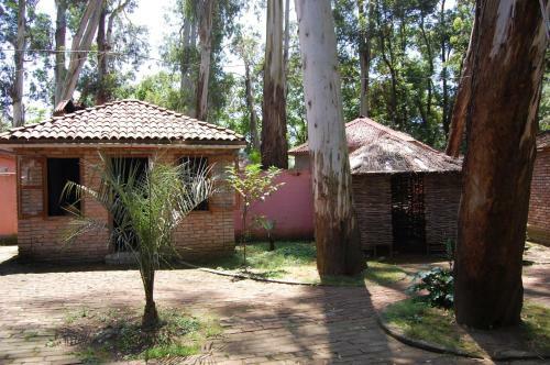 Agroturismo Champion