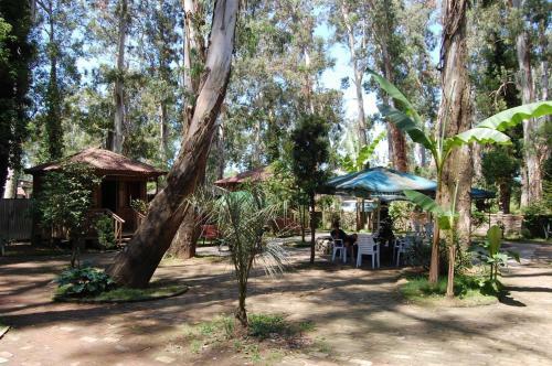 Agroturismo Champion