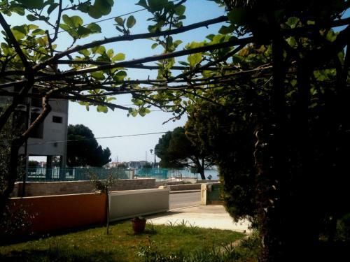 Hostal Accommodation Vitalio