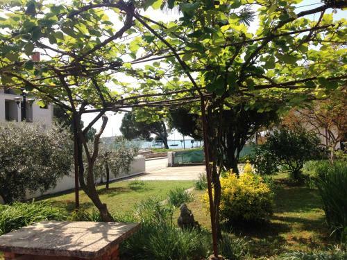 Hostal Accommodation Vitalio