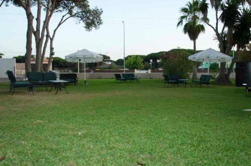 Bungalows-camping La Rana Verde