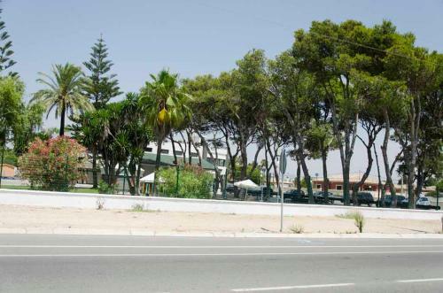 Bungalows-camping La Rana Verde